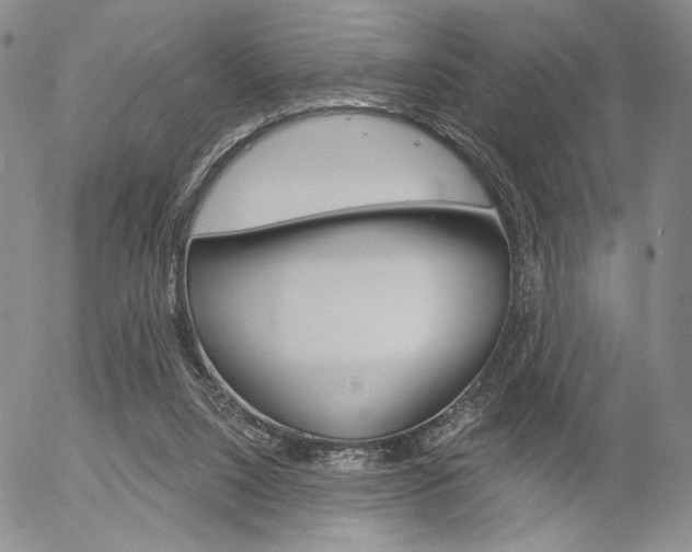 X0000054440064200507290936