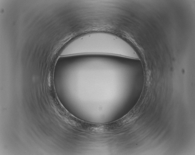 X0000054440068200507290937