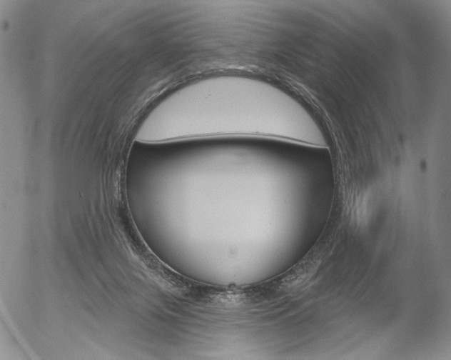 X0000054440071200507290937