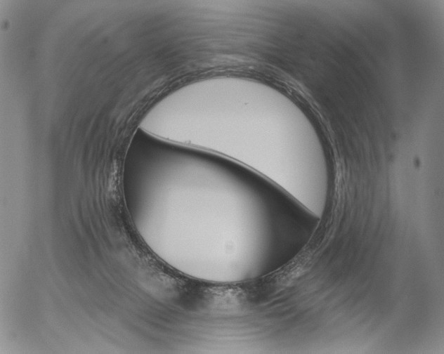 X0000054440073200507290937