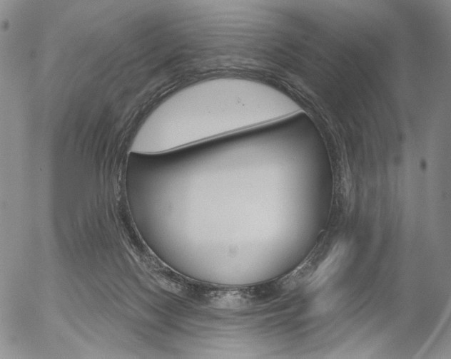 X0000054440074200507290937