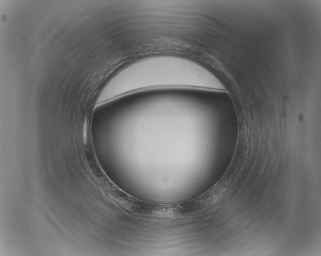 X0000054440076200507290937