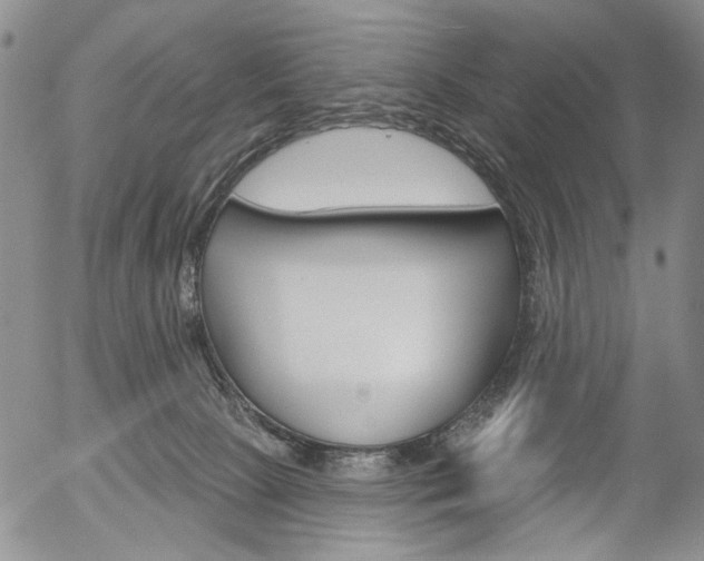 X0000054440081200507290937