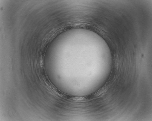 X0000054440085200507290937