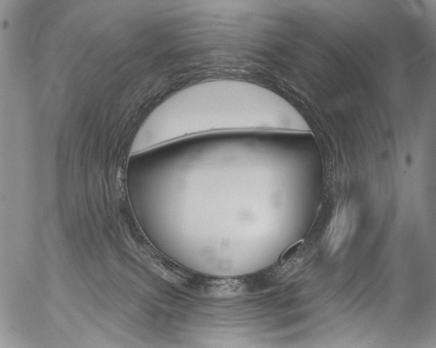 X0000054440087200507290937