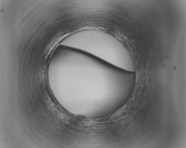 X0000054440098200507290936