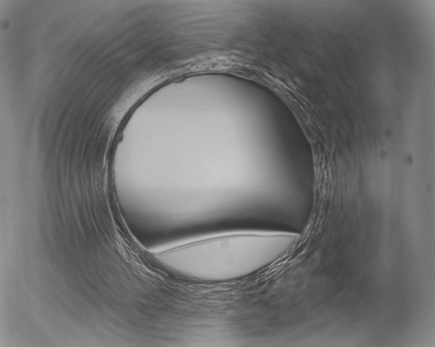 X0000054440100200507290936