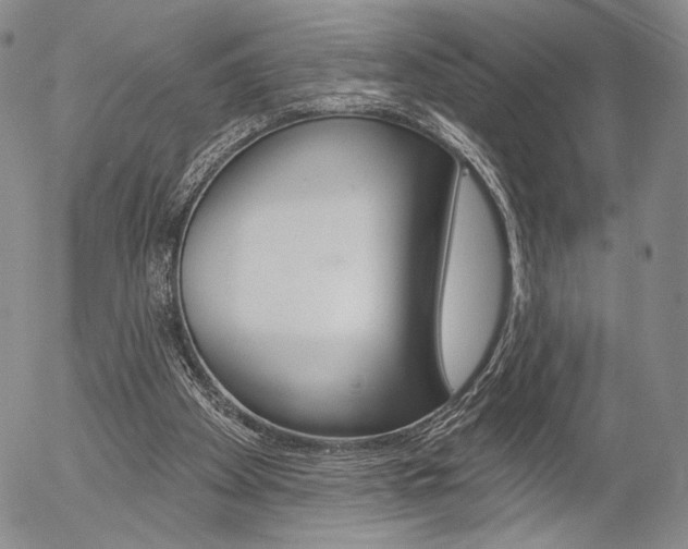 X0000054440105200507290936