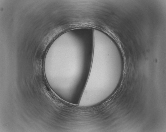 X0000054440107200507290936