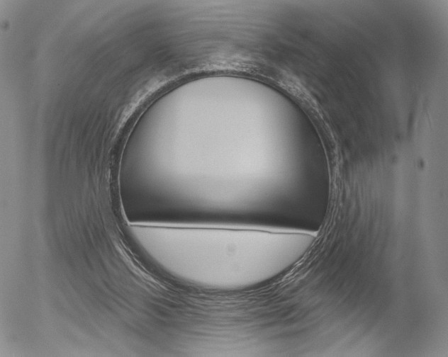 X0000054440108200507290936