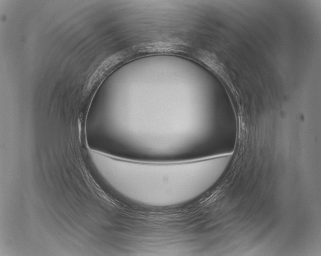 X0000054440109200507290936
