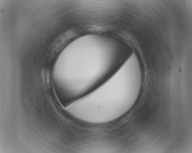X0000054440115200507290936