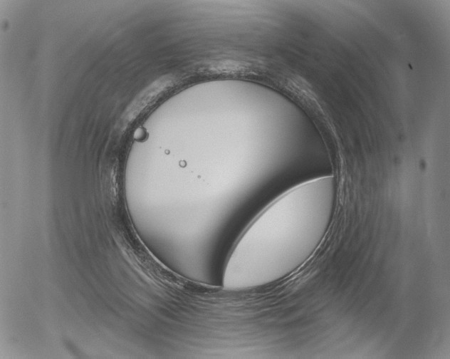 X0000054440116200507290936
