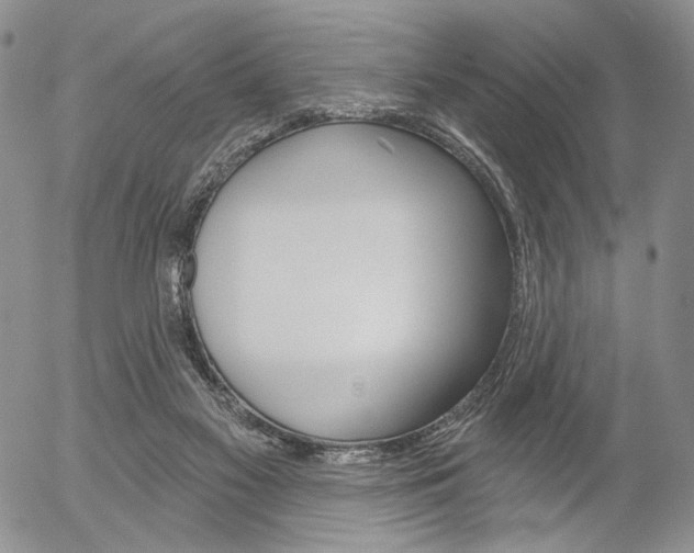 X0000054440117200507290936