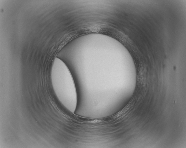 X0000054440122200507290936