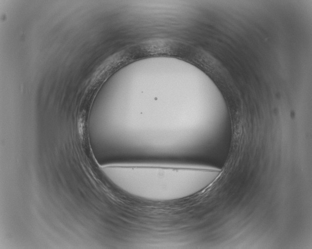 X0000054440124200507290936