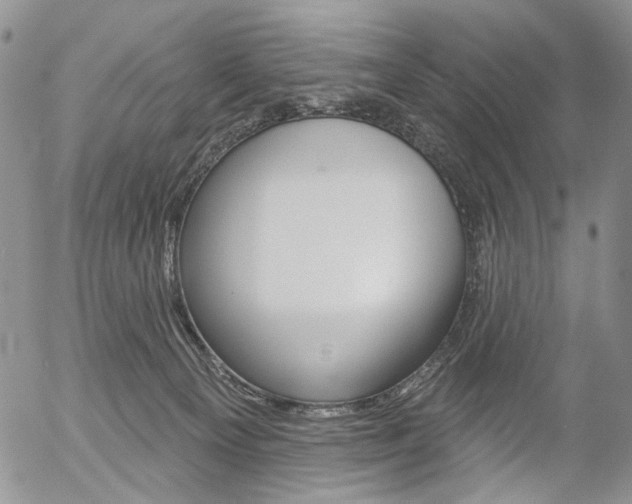 X0000054440129200507290936