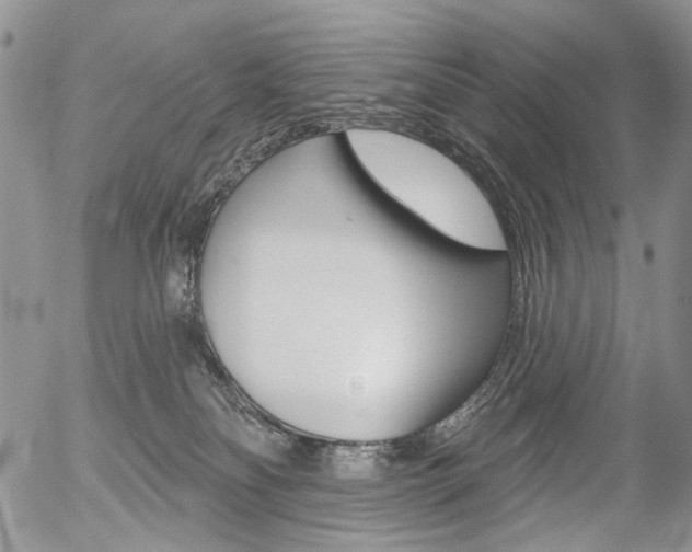 X0000054440134200507290936