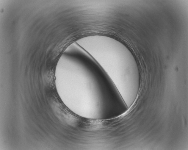 X0000054440144200507290935