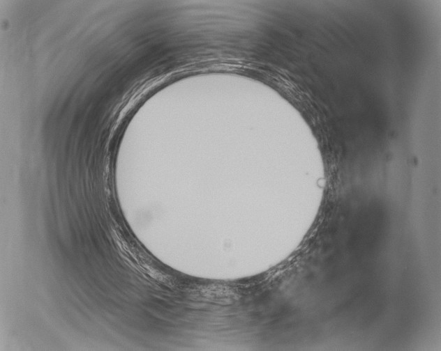 X0000054440146200507290935
