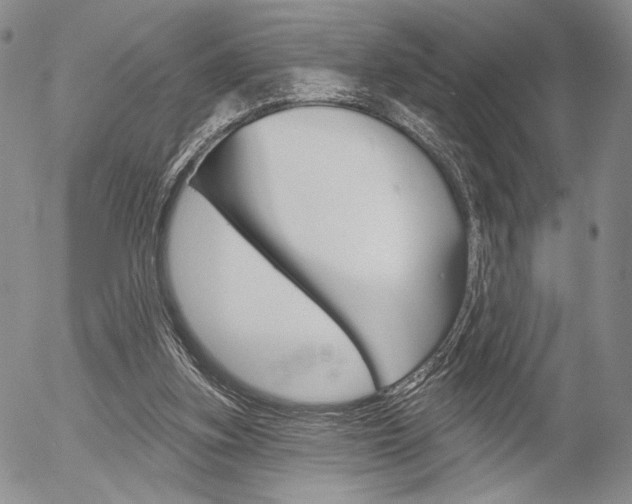 X0000054440155200507290935