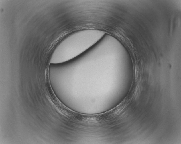 X0000054440157200507290935