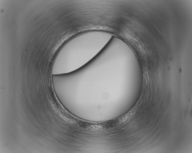 X0000054440159200507290935