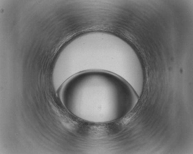 X0000054440164200507290935