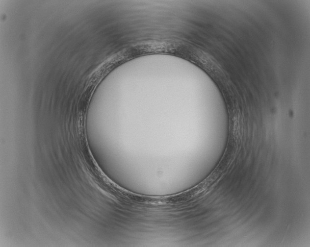 X0000054440165200507290935
