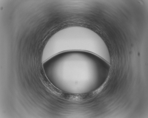 X0000054440174200507290935