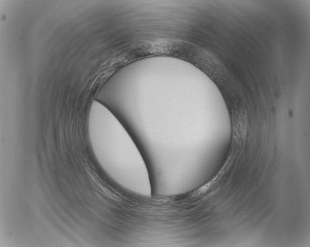 X0000054440175200507290935