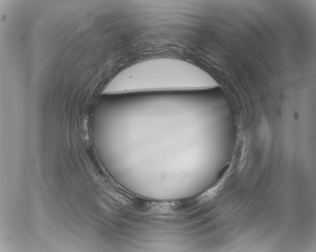 X0000054440182200507290935
