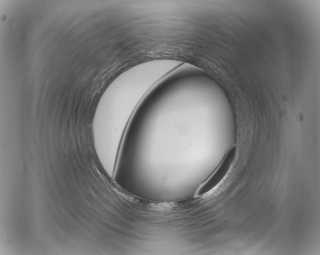 X0000054440192200507290935