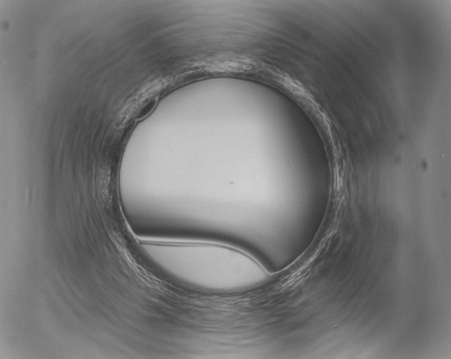 X0000054440201200507290934
