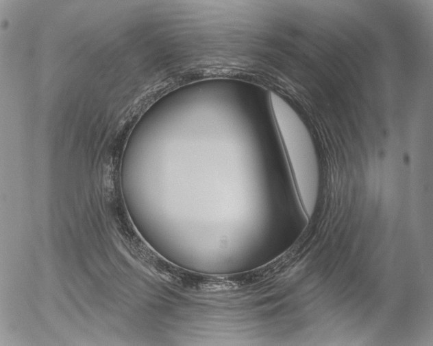 X0000054440215200507290934