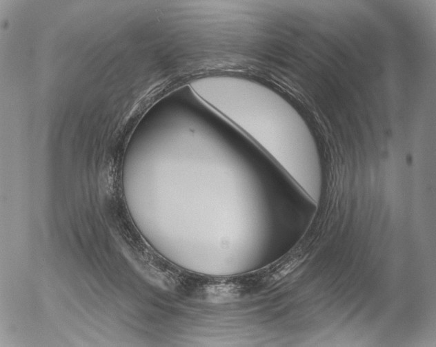X0000054440216200507290934