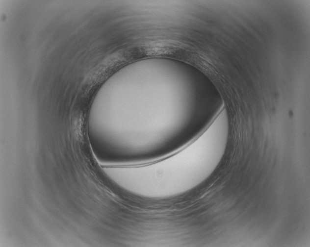 X0000054440219200507290934