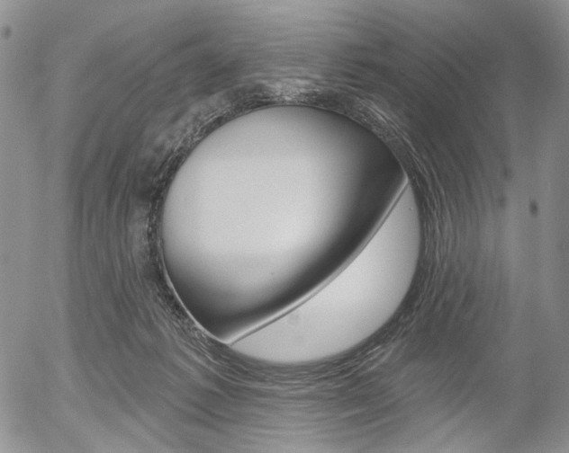 X0000054440221200507290934
