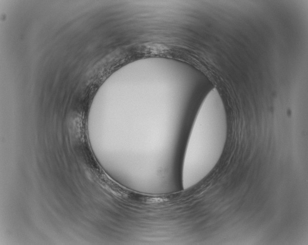 X0000054440222200507290934