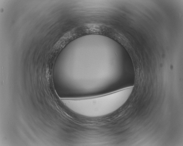 X0000054440223200507290934