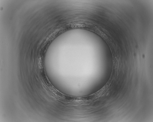 X0000054440224200507290934