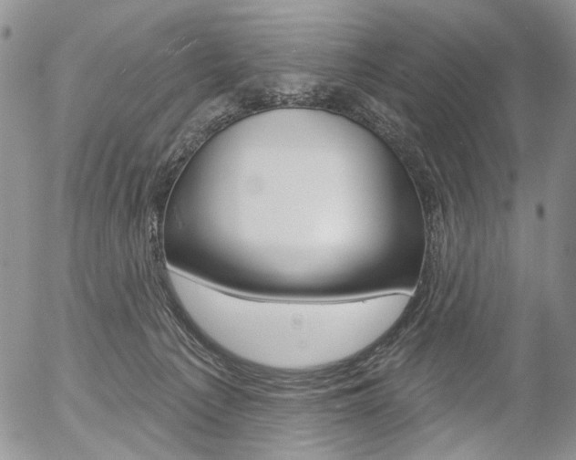 X0000054440225200507290934