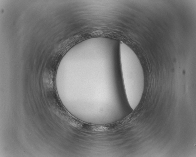 X0000054440226200507290934