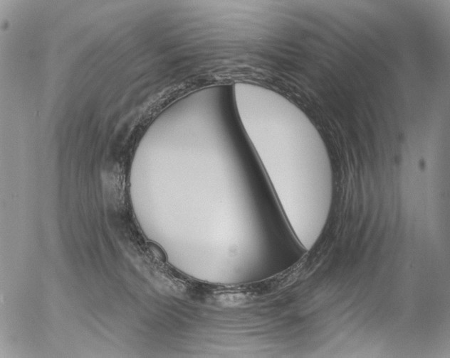 X0000054440228200507290934