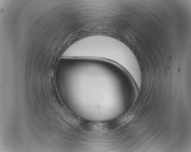 X0000054440229200507290934