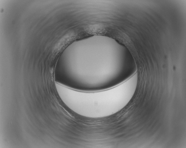 X0000054440239200507290934