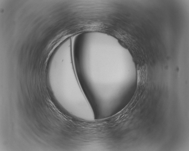 X0000054440243200507290933