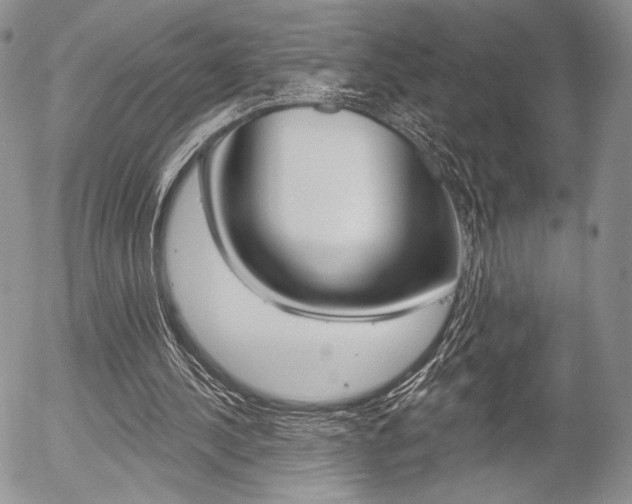 X0000054440244200507290933