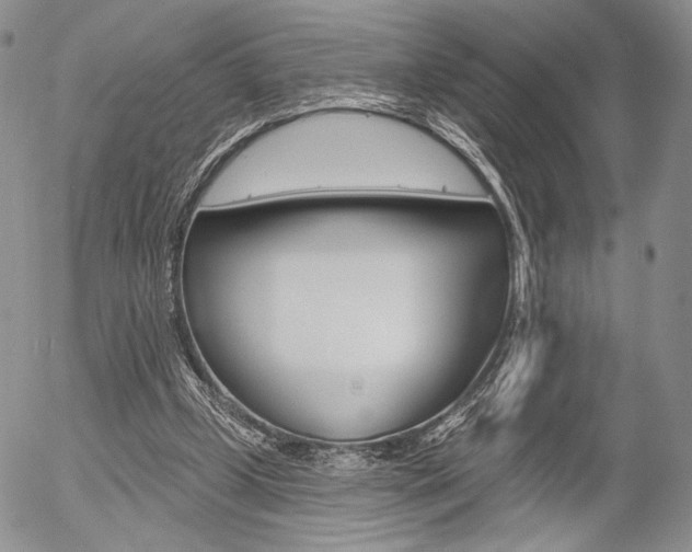 X0000054440249200507290933
