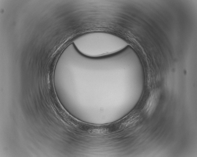 X0000054440251200507290933
